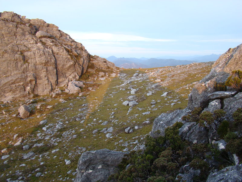 2010_02090184.JPG