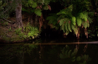 up the whyte river.JPG
