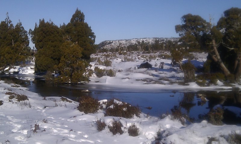 Pine Lake 1.jpg