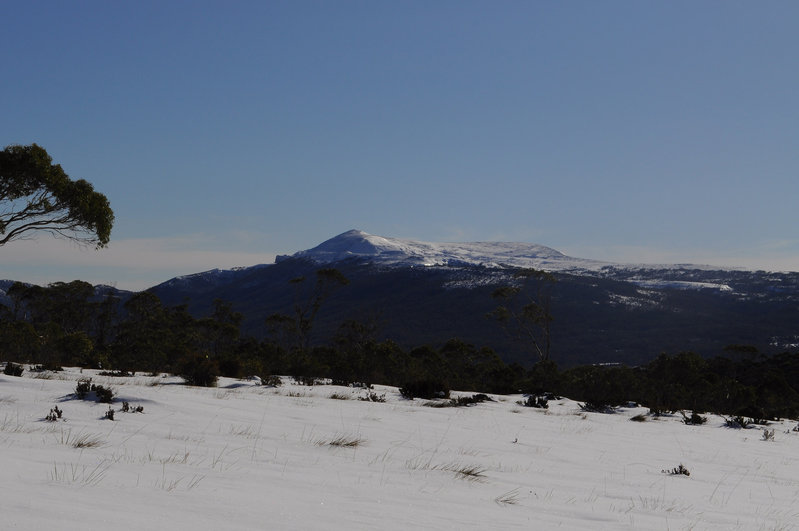 DSC_0042.JPG