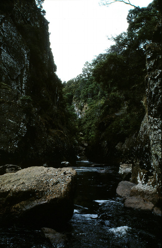 PC Trail 2003_0046.jpg