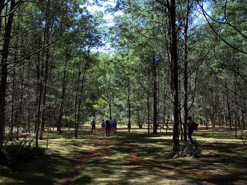 P1100641.jpg