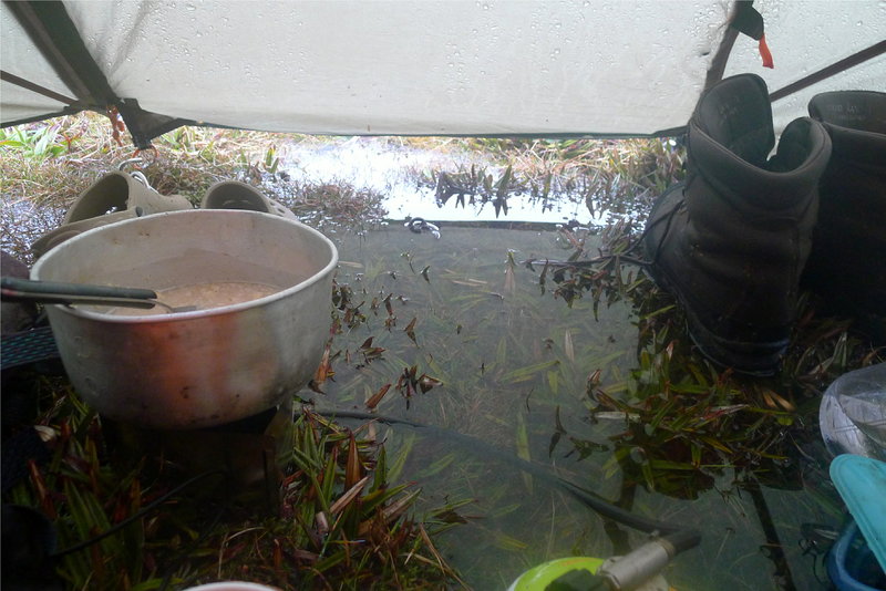 heavy rain overnight.jpg