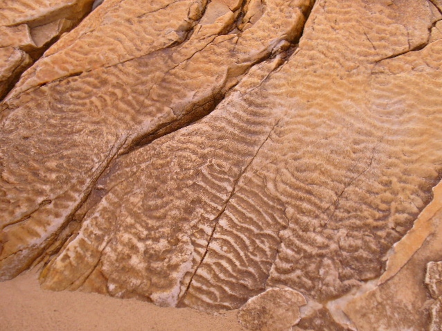 P1010025.JPG
