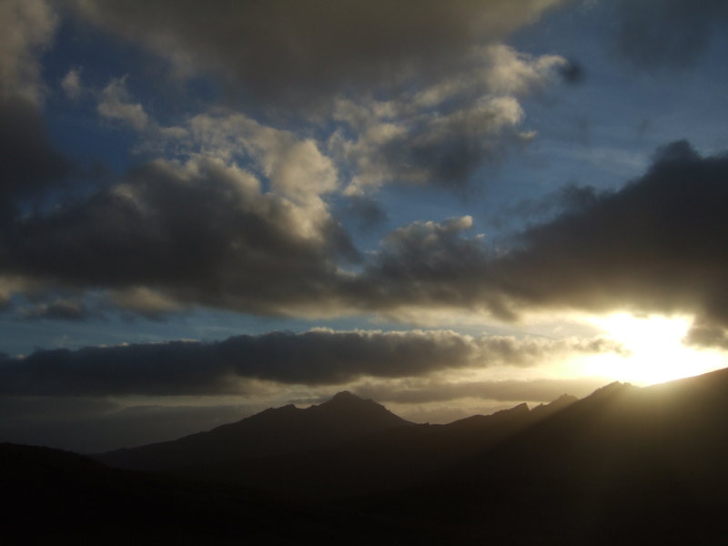 2012_0101Denisons0048.JPG