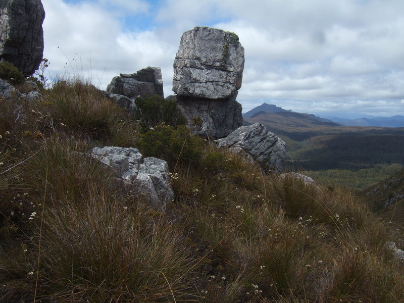 2012_0101Denisons0103.JPG