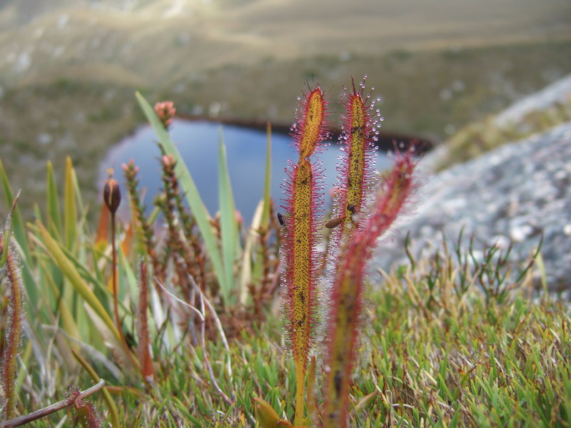 2012_0101Denisons0117.JPG