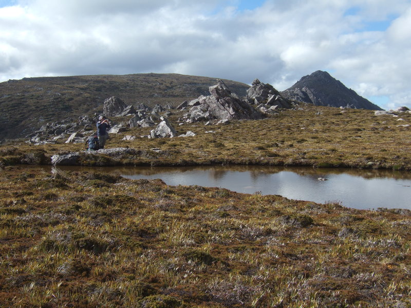 2012_0101Denisons0129.JPG