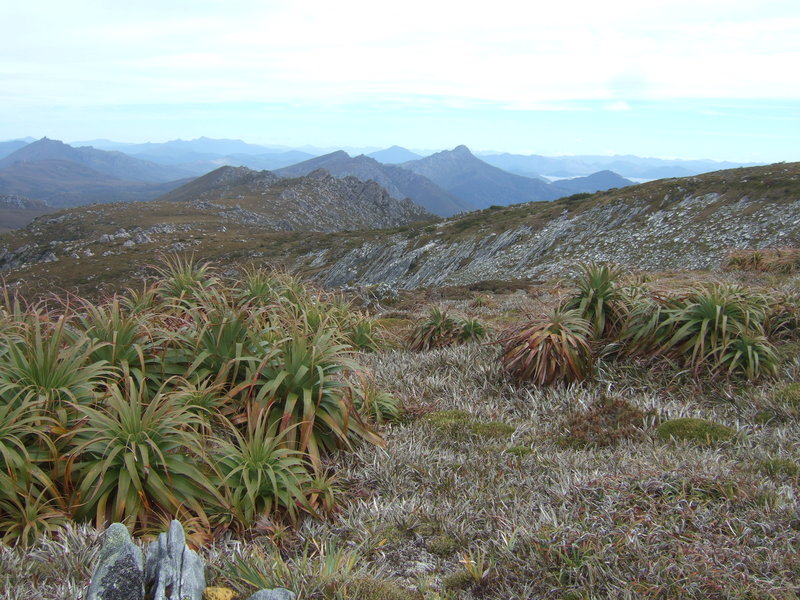 2012_0101Denisons0180.JPG