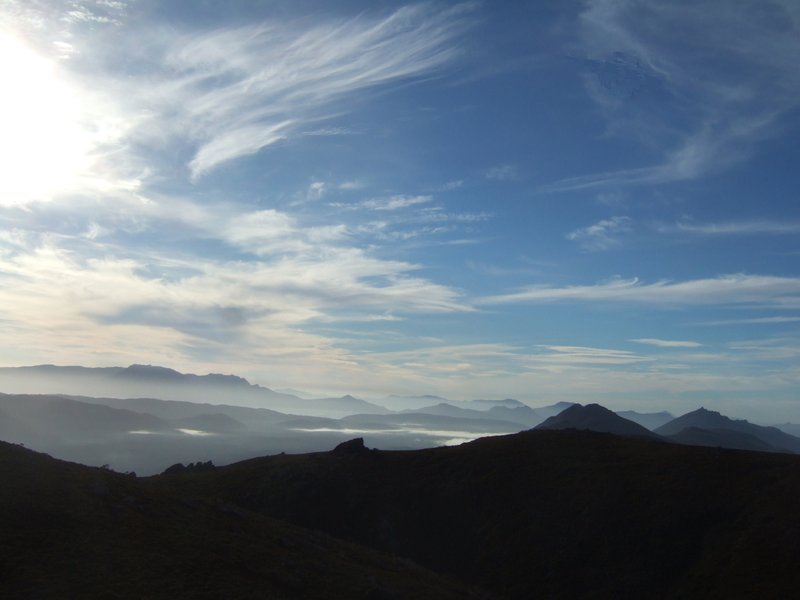 2012_0101Denisons0278 2.jpg