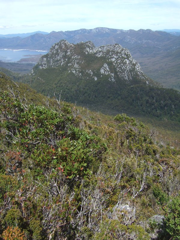 2012_0101Denisons0337.JPG