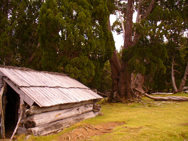 P1010231.JPG