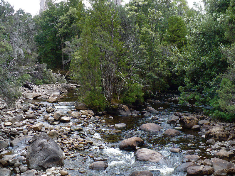P1180824.jpg