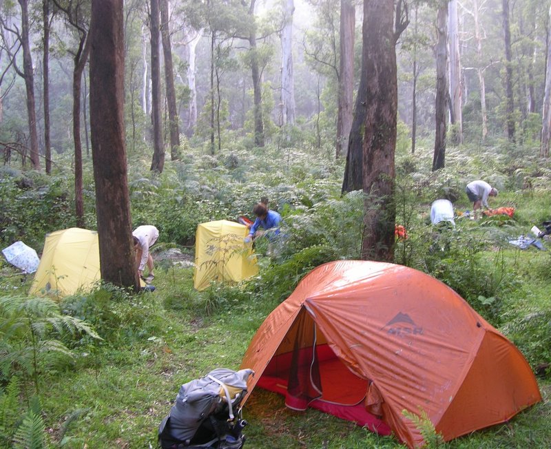 DSCN6088.JPG