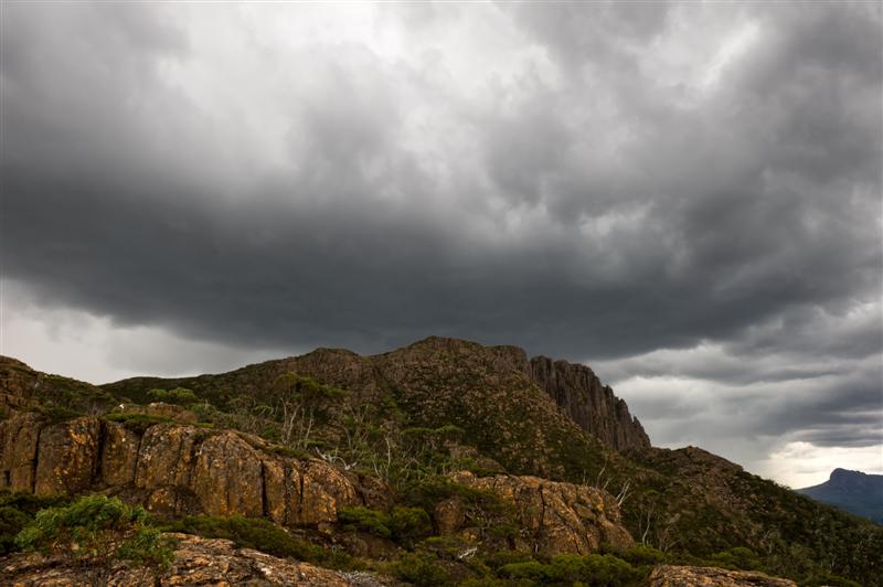 D7D_9049 (Medium).jpg