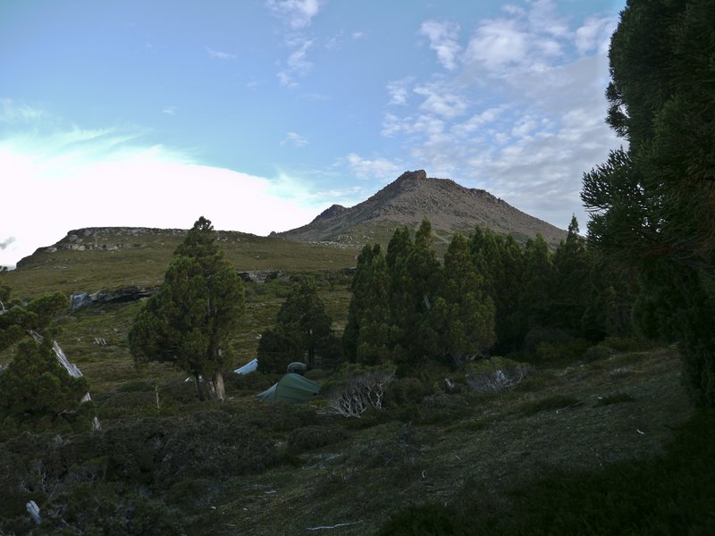 P1080137.jpg
