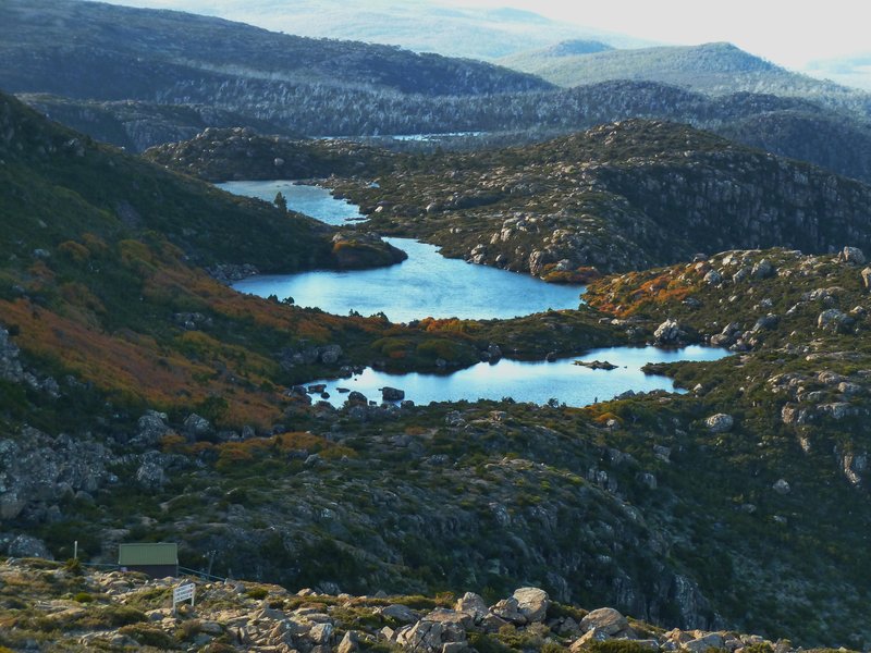 Fagus Tarn Shelf 2012.jpg