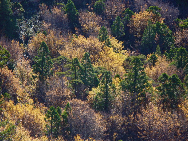 P1200015.JPG