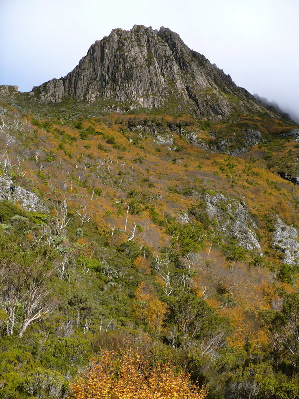 P1200149.JPG