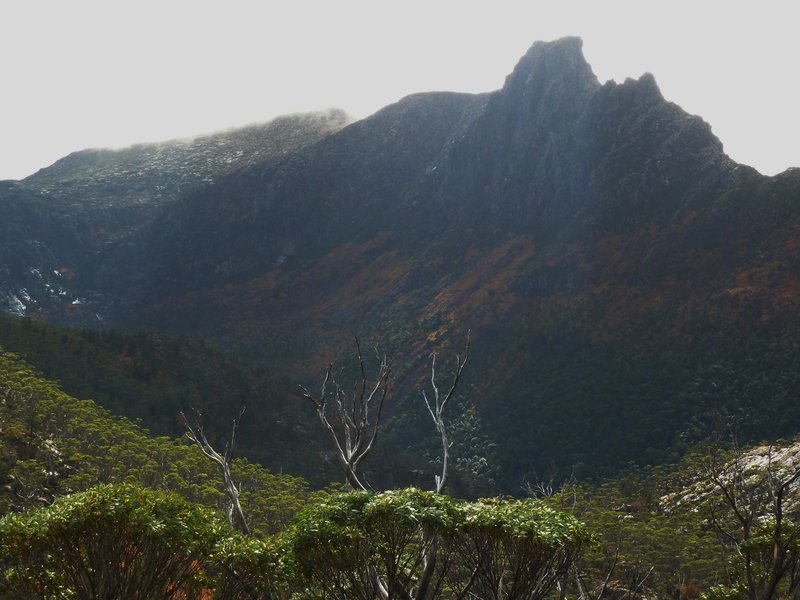 Pine Valley 27 April 2012.jpg