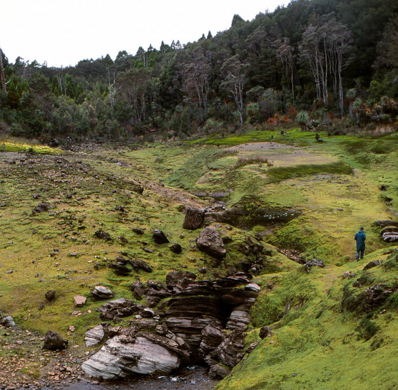 Lake%20Sydney_5.jpg