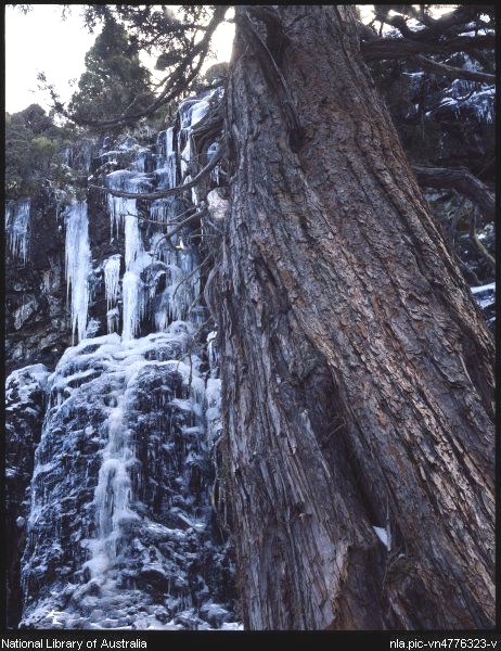 waterfall.jpg