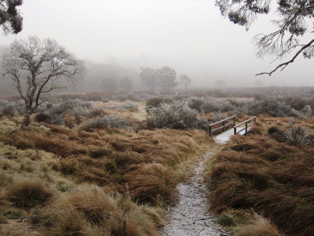 2. Heading off into the mist.JPG