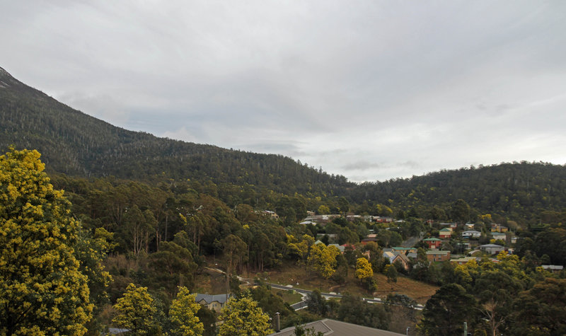 Wattle Valley2.jpg