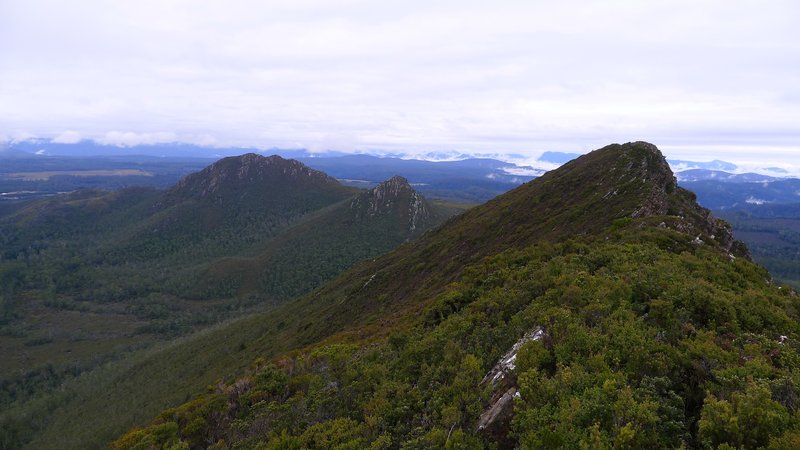 P1010713.JPG