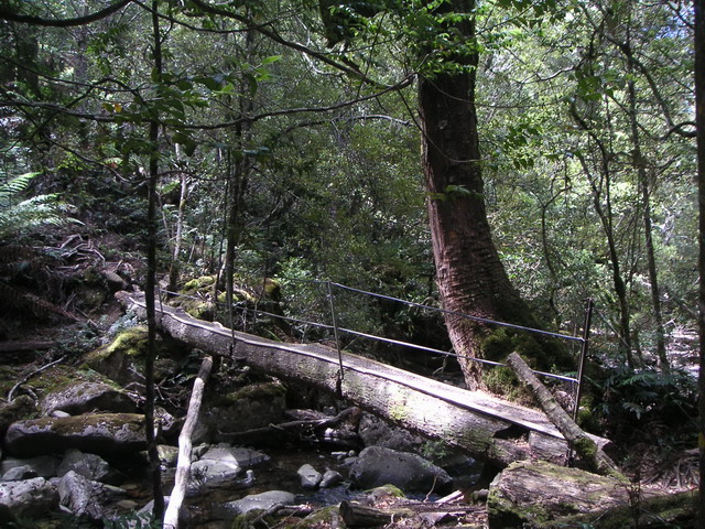 a-log-bridge.jpg