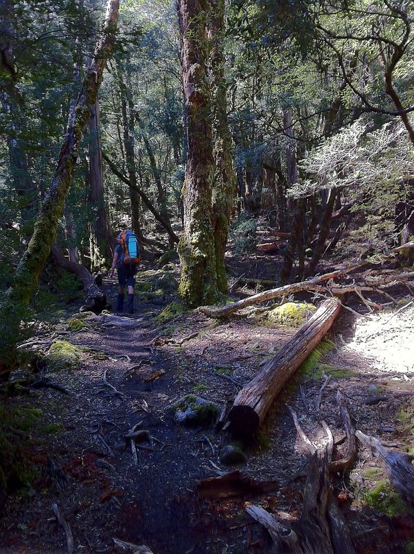 Overland Track.r.jpg