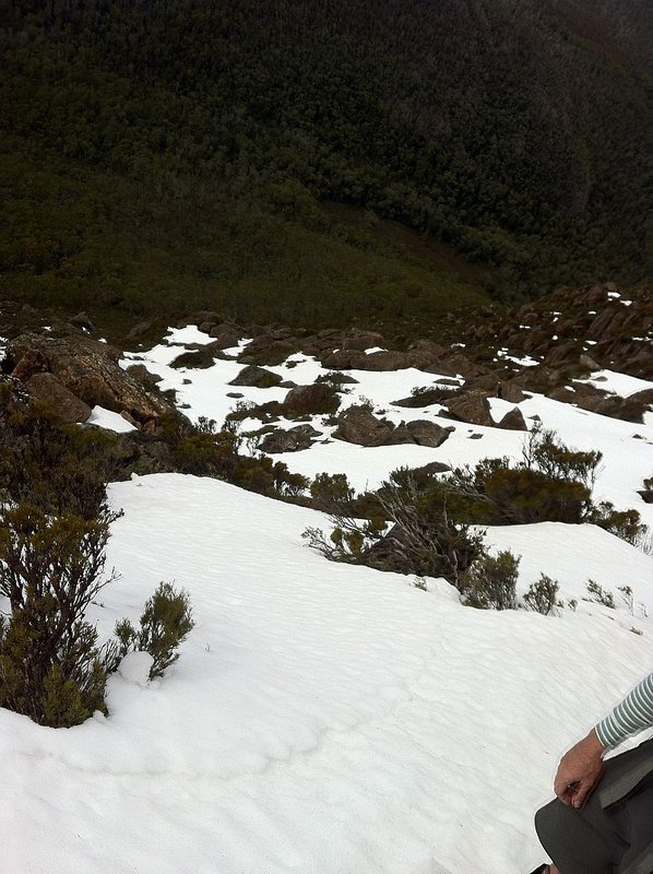 Falling Mt.r.jpg