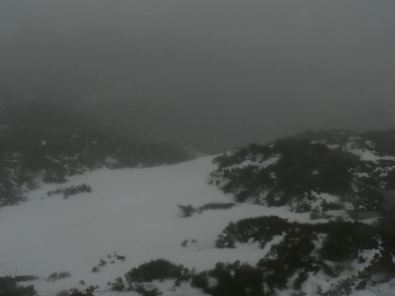 Ducane heading Down.r.jpg
