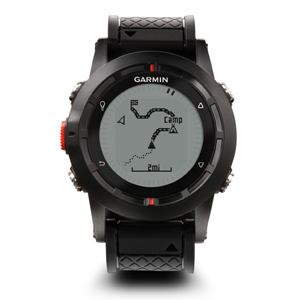 fenix.jpg