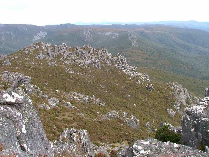DSCF0655.JPG
