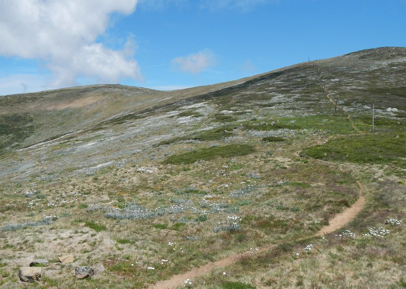 Mt Bogong.JPG