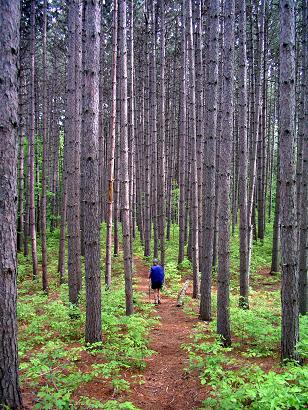 06-14 Trail near West Hartford.jpg