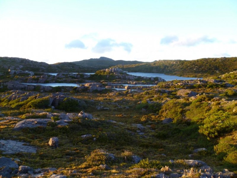 P1010319d.jpg