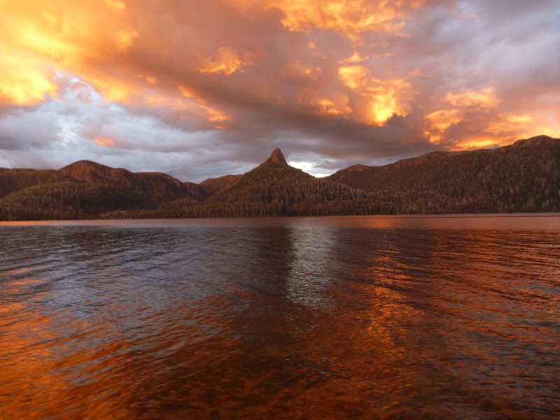smallP1040909.jpg