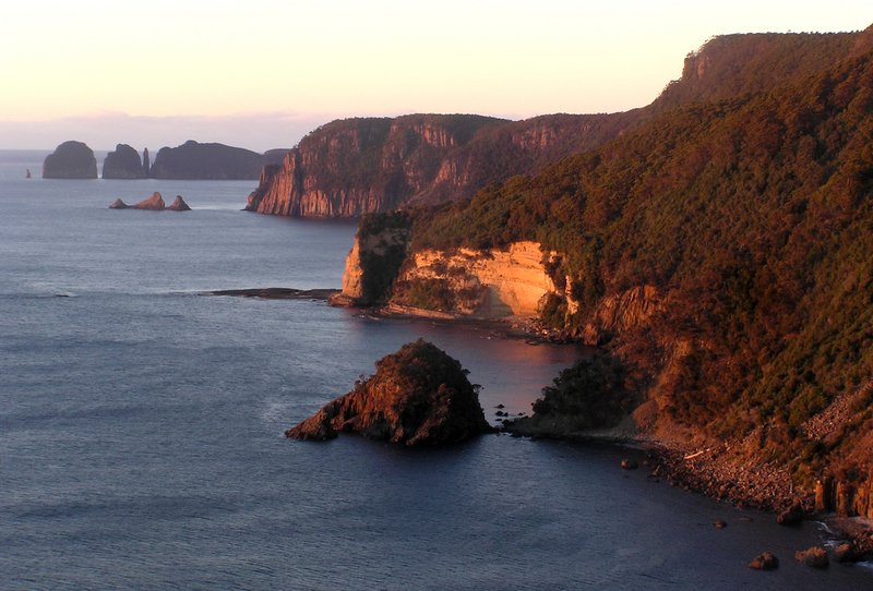 P7299469.JPG