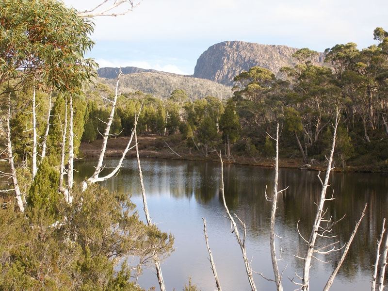 Image1.jpg
