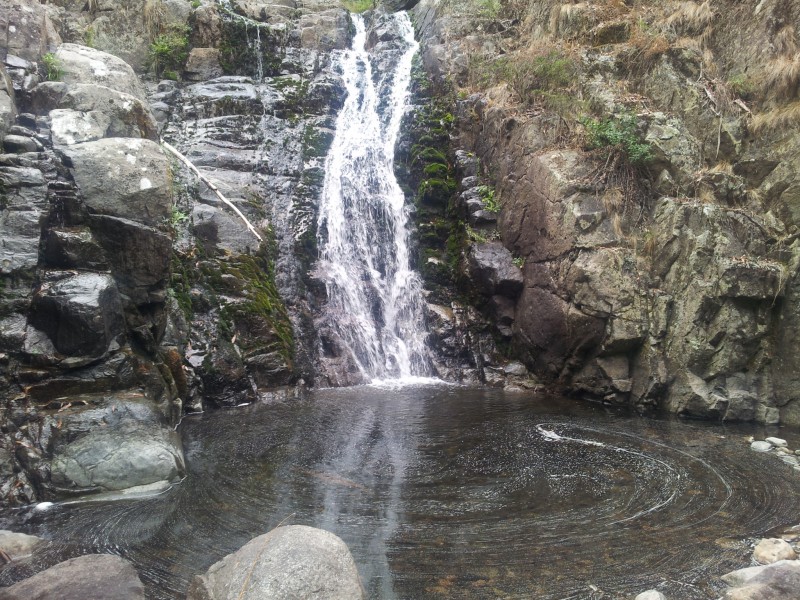 20130316_104714.jpg