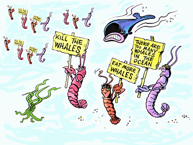 plankton-added.gif