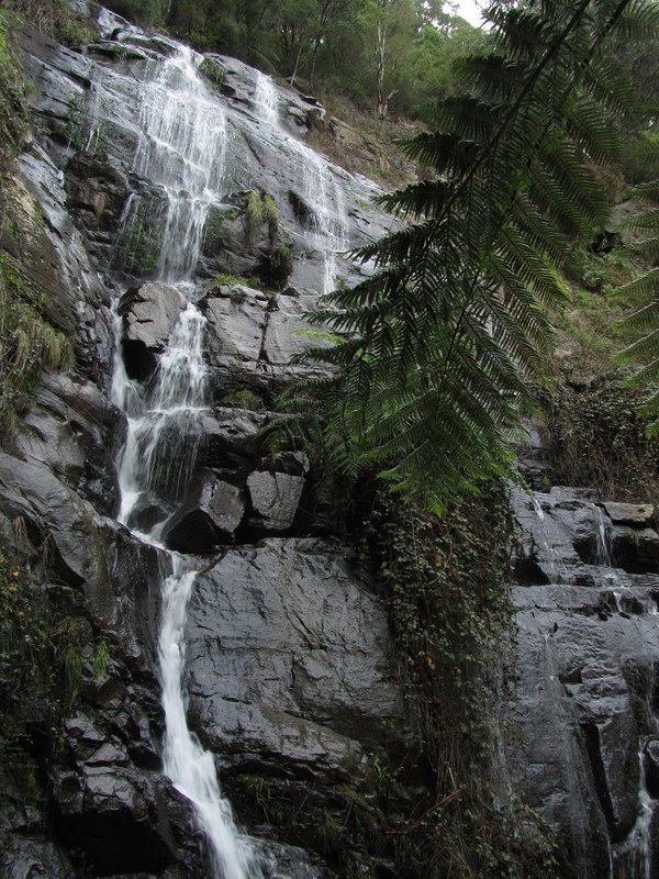 Chilver Falls (Second Drop) (2).jpg