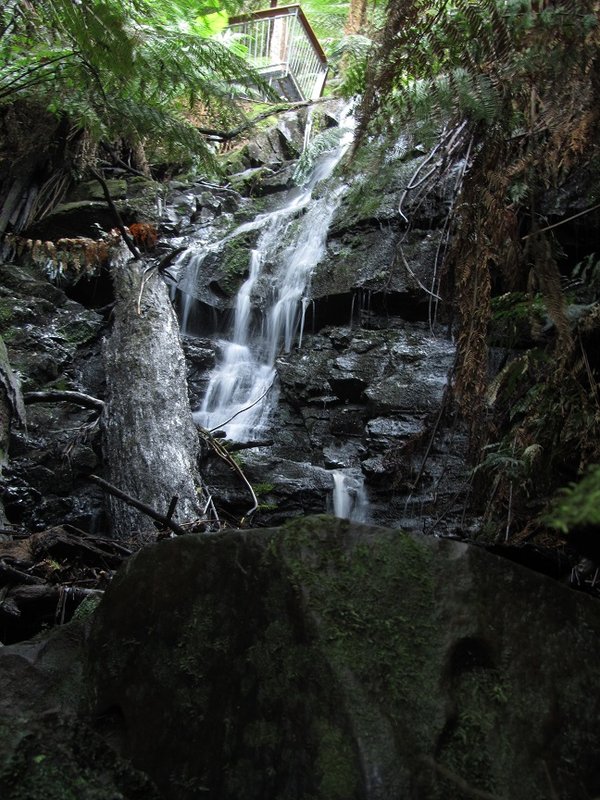 Cyathea Falls (Second Drop).jpg