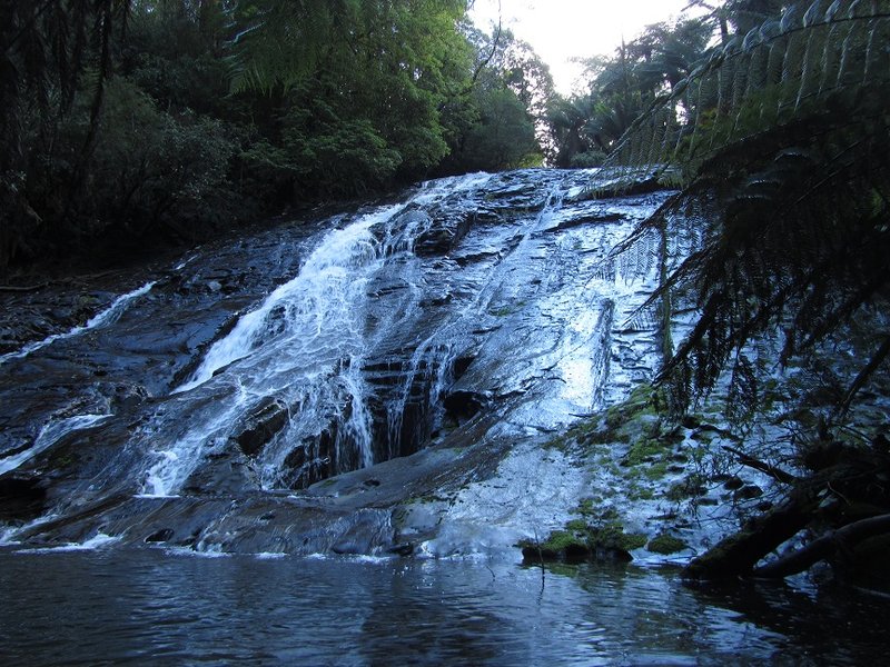 Tarra Falls.jpg