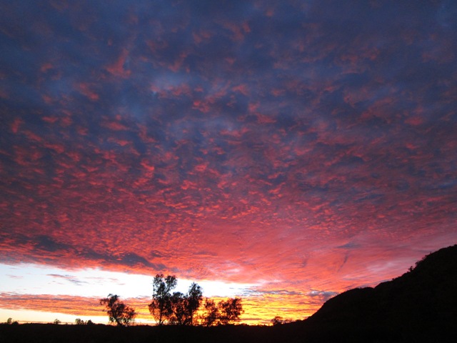 Dawn light, Jay Creek.JPG