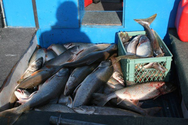 76-fish-in-4-hrs.jpg