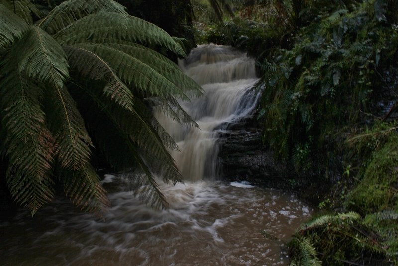 Moonlight Creek Falls.jpg