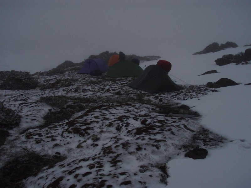 PA260026.JPG